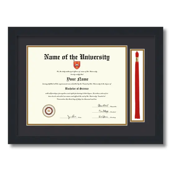 ArtToFrames 11x14 inch Diploma Frame with Tassel Opening - Framed with Black and Gold Mats, Comes with Regular Acrylic and Sawtooth Hanger for Wall Hanging (DT-11x14) {5}