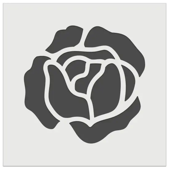 Head of Lettuce Garden Vegetable Wall Cookie DIY Craft Reusable Stencil {7}