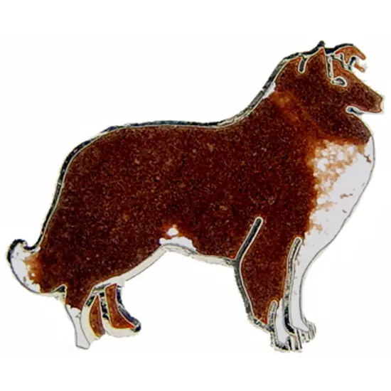 Collie Pin 1" {1}