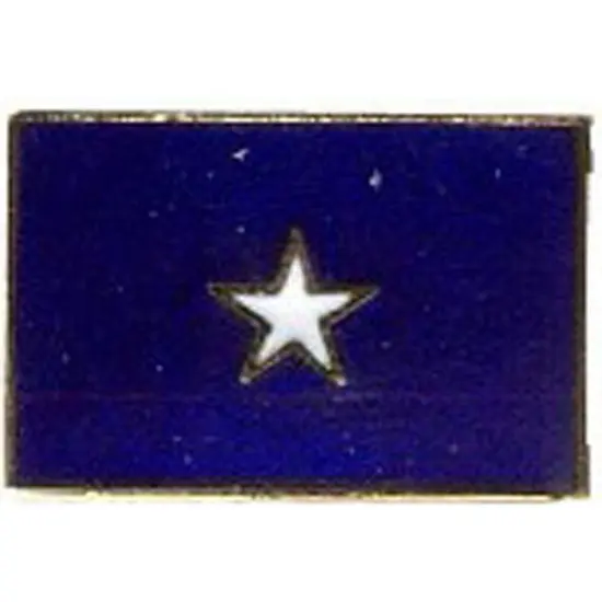 Bonnie Blue Flag Pin 7/8" {1}
