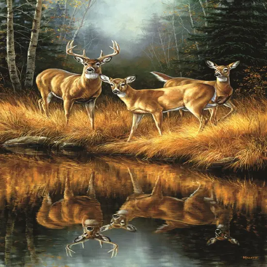Sunsout Whitetail Reflections 550 pc Jigsaw Puzzle 30923 {1}