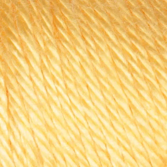 (Pack of 2) Caron Simply Soft Solids Yarn-Sunshine {2}