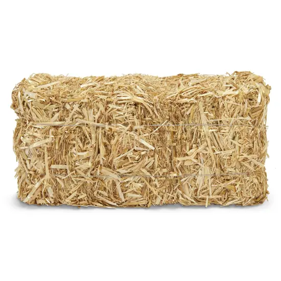FloraCraft Decorative Straw Bale-5"x6"x13" {2}
