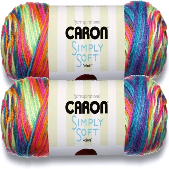 (Pack of 2) Caron Simply Soft Paints Yarn-Rainbow Bright {1}