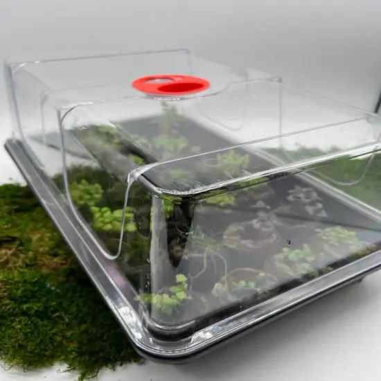 Mini Greenhouse - Grow 28 plants LARGE {4}