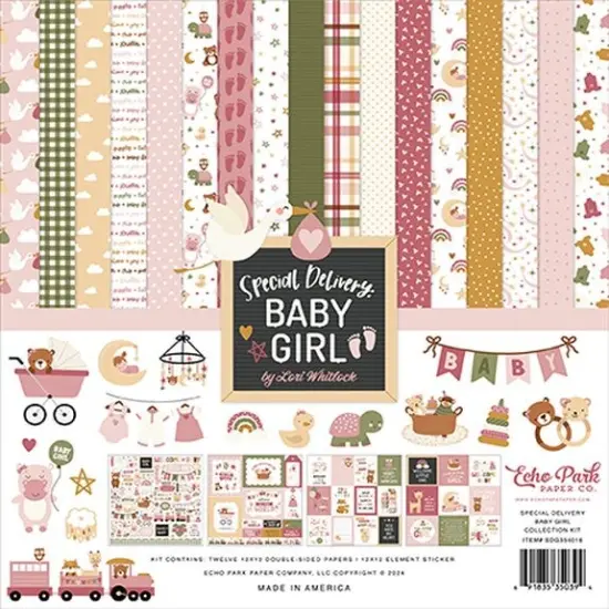 Echo Park Special Delivery Baby Girl Collection Kit {1}