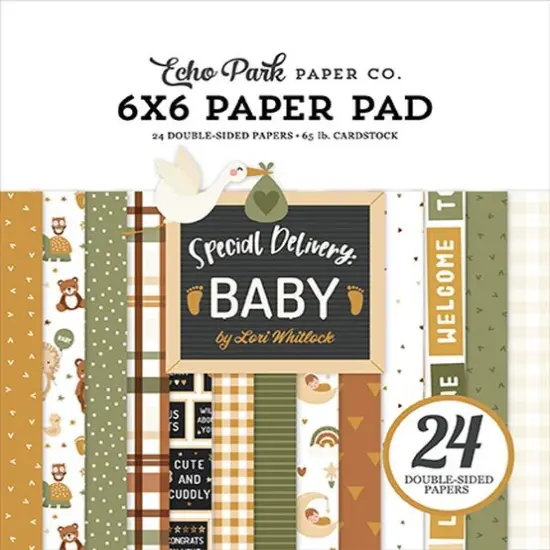 Echo Park Special Delivery Baby 6x6 Pad {1}