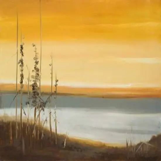 Early Morning II Poster Print by Nelly Arenas - Item # VARPDX7655 {2}