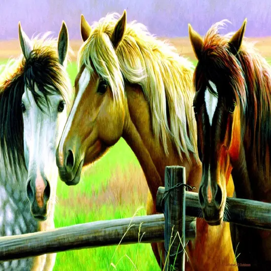 Sunsout Horse Fence 1000 pc Jigsaw Puzzle 70922 {1}