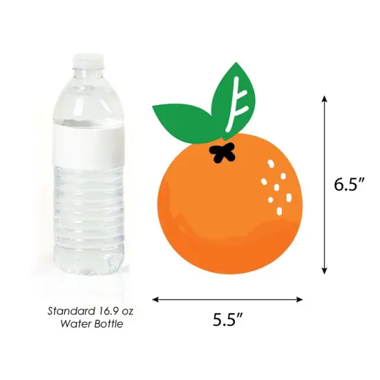 Big Dot of Happiness Tutti Fruity - Pineapple Grapes Pear & Watermelon Decor DIY Frutti Summer Baby Shower or Birthday Party Essentials - Set of 20 {7}