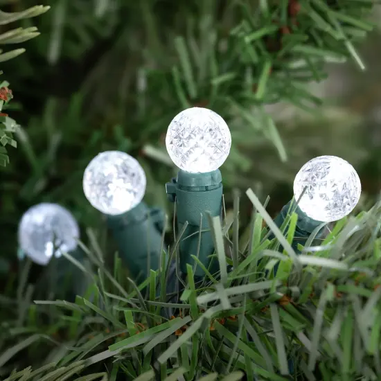 Northlight LED G12 Berry Christmas Lights - Pure White - 16' Green Wire - 50ct {3}