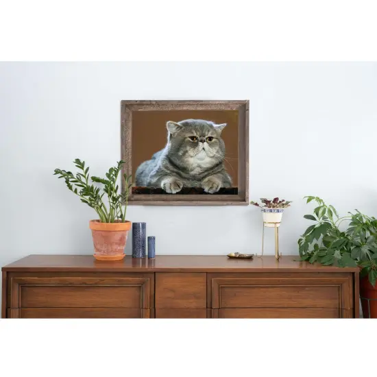 Rustic Farmhouse Signature Series 20 in. x 28 in. Reclaimed Wood Picture Frame Brown {5}