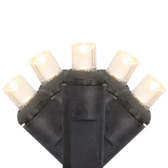 Northlight LED Wide Angle Christmas Lights - Warm White - 16.25' Black Wire - 50ct Clear {3}