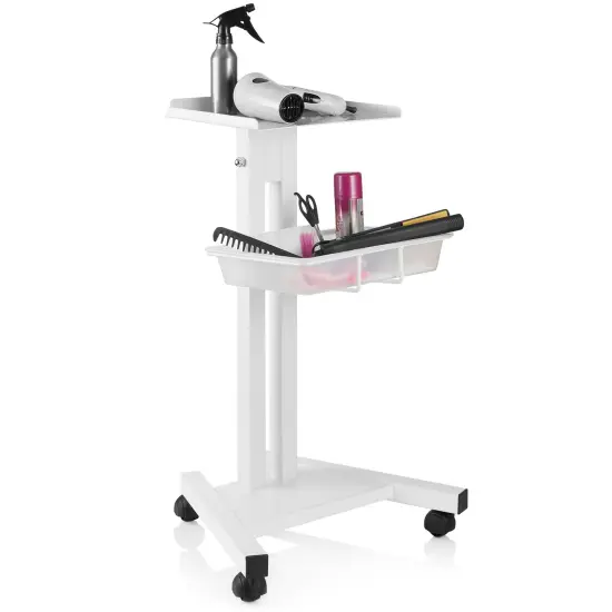 Esthology Rolling Equipment Cart {5}