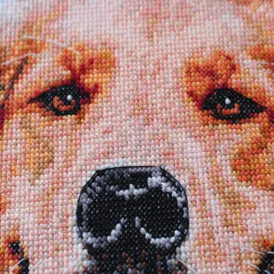 Cross stitch kit Friend {3}