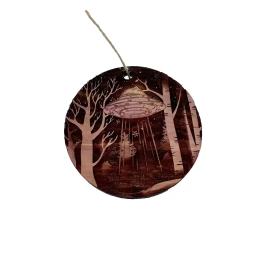 Winter UFO - Cedar ornament {3}