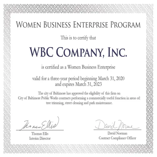 Great Papers! Certificates with Silver Foil, Braided on White Certificate, 8.5" x 11", Printer Compatible, 15 Count {2}