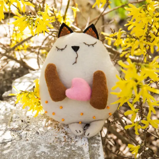 Felting kitFavourite {2}