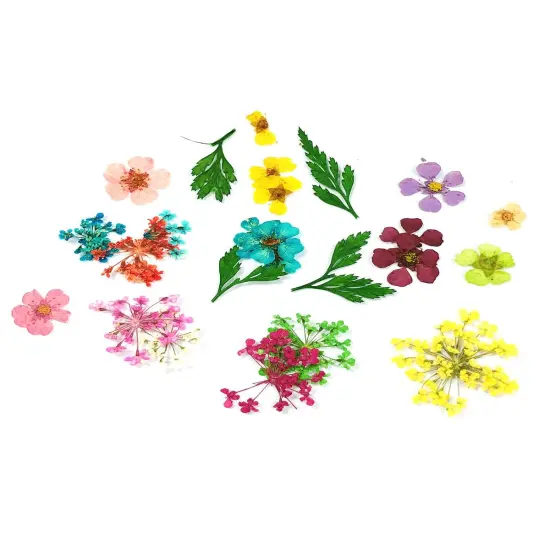 Wrapables Real Dry Flowers Nail Art 3d Flower Nail Decals Nail Manicure with Plastic Case (Set of 12), Posies {3}