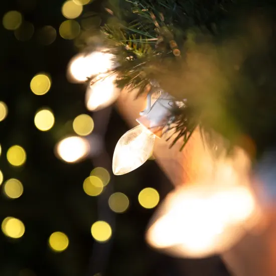 Northlight C7 Christmas String Lights - Clear - 24' White Wire - 25ct {5}