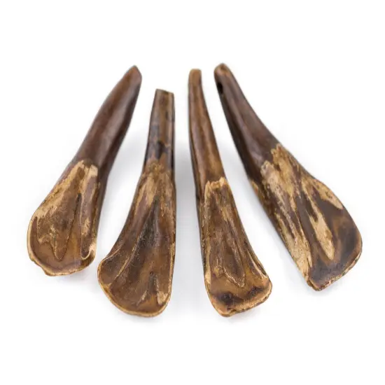 TheBeadChest Brown Water Buffalo Tooth Pendants Set of 4 Nepal Bone Large Hole {4}