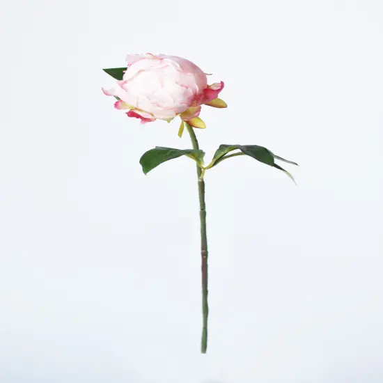 18" Faux Peony Bud Stem Light Pink {2}