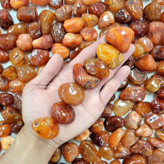 Tumbled Carnelian Crystals - Size Medium 1" to 1.5" {5}