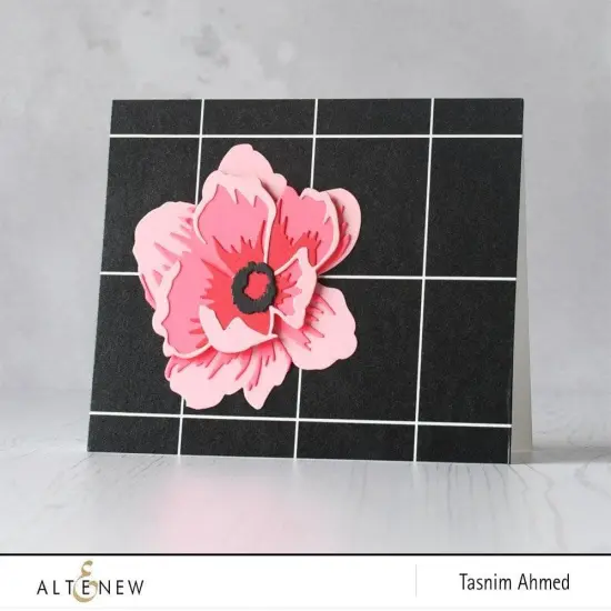 Tuxedo Wide Washi Tape {6}