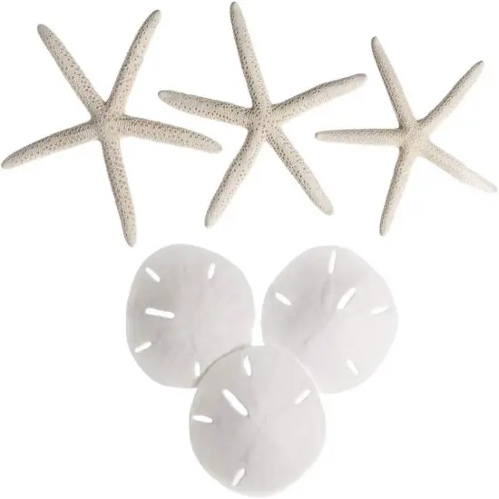White Finger Starfish and Sand Dollar Collection (3) 4"-6" White Finger Starfish and (3) 3" - 3 1/2" White Sand Dollars Wedding Seashell Craft 1 Pack {3}