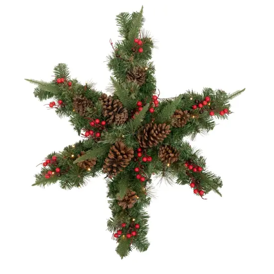 Northlight Pre-Lit Battery Operated Mixed Pine and Berries Christmas Snowflake Wreath - 32" - Warm White LED Lights Green {1}