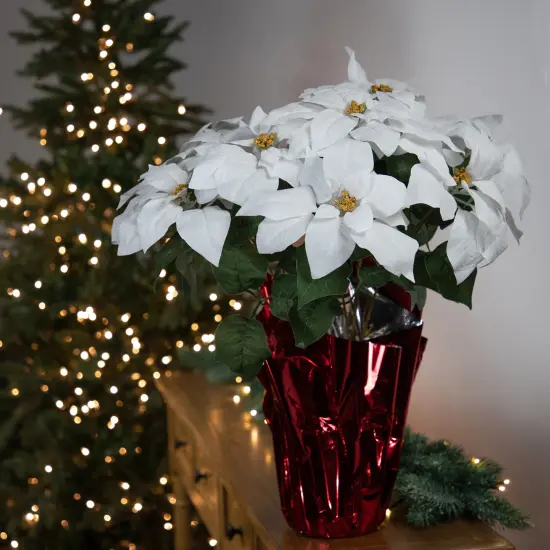 Northlight Artificial Christmas Poinsettia Flowers with Wrapped Base - 22" - White {3}