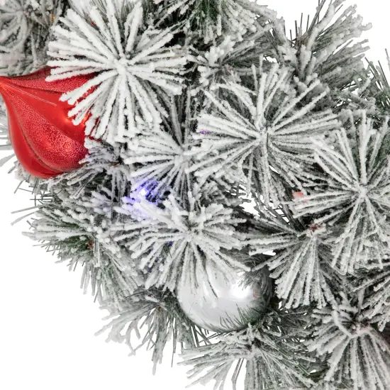 Northlight Pre-Lit Battery Operated Snowy Bristle Pine Christmas Wreath - 24" - Dual Color LED Lights White {7}