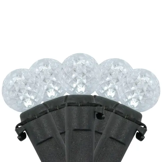 Northlight LED G12 Berry Christmas Lights - Pure White - 16' Black Wire - 50ct {1}