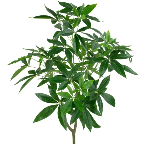 Northlight 4' Artificial Unbraided Potted Green Money Tree {4}
