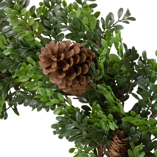 Northlight Boxwood and Pine Cone Artificial Christmas Wreath - 27" - Unlit Green {4}