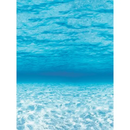 Bulletin Board Art Paper, Under The Sea, 48" x 50', 1 Roll {1}