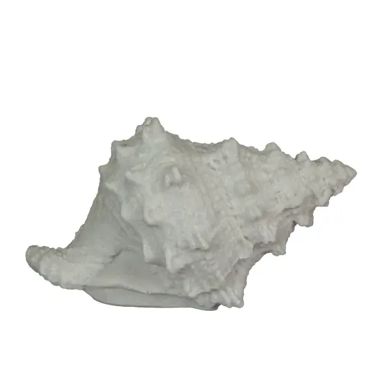 8 Inch Resin LED Frog Shell Accent Lamp Sea Table Light Nautical Home Decor {3}