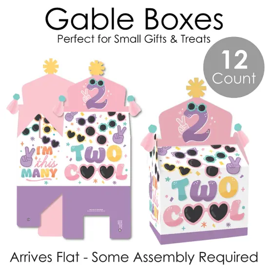 Big Dot of Happiness Two Cool - Girl - Treat Box Party Favors - Pastel 2nd Birthday Party Goodie Gable Boxes - Set of 12 {7}