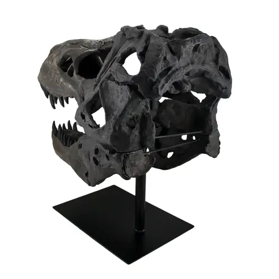 Gray Finished Tyrannosaurus Rex Fossil Skull Statue On Museum Mount T-Rex {5}