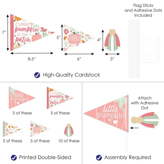 Big Dot of Happiness Girl Little Pumpkin - Triangle Fall Birthday Party or Baby Shower Photo Props - Pennant Flag Centerpieces - Set of 20 {4}