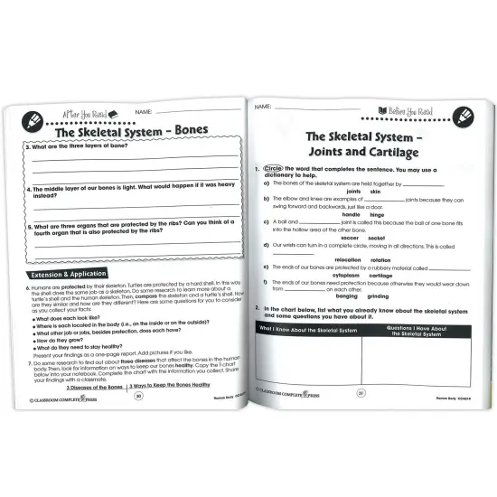 Human Body Big Book {2}