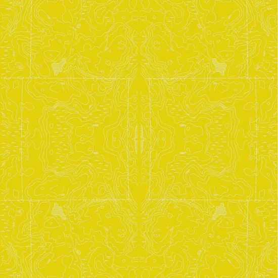 Topographic Map Gift Wrap X {2}