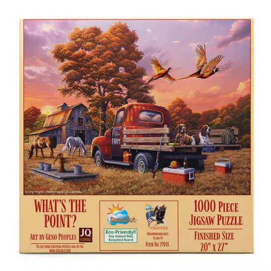 Sunsout What's the Point 1000 pc Jigsaw Puzzle 71911 {3}