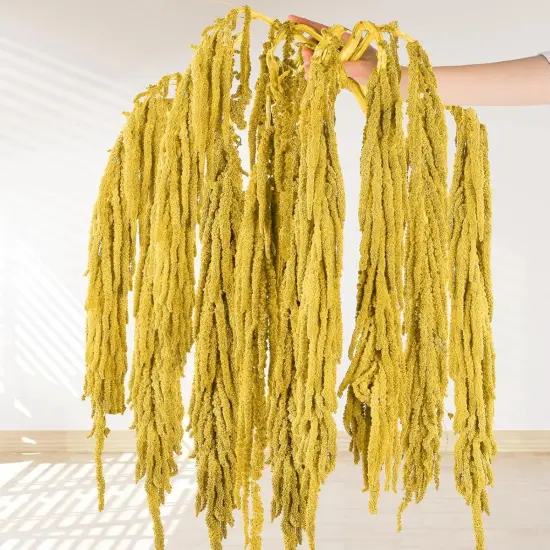 10Pcs Dried Amaranthus Hanging Flowers Garland Rustic Wall Hanging Decor {1}