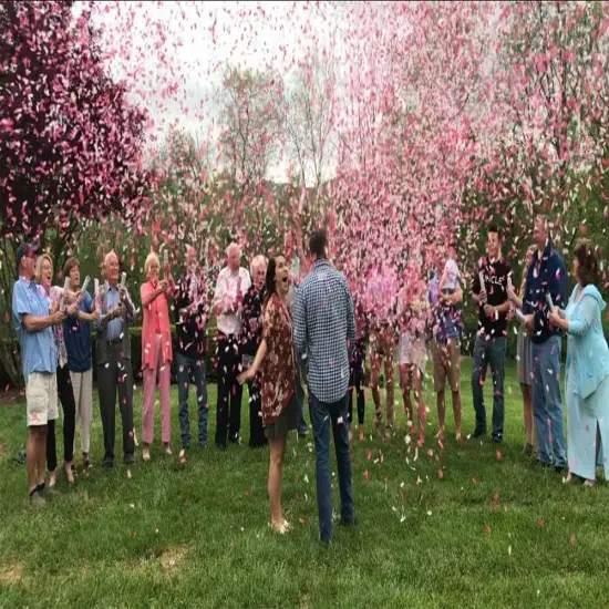 Confetti Cannon Poppers(2 Pack - Pink) Colorful Confetti {4}