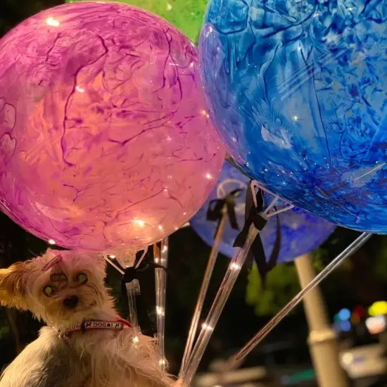 30 Set 27inch Big Clear Balloons Holder Sticks With Cups, Long Reusable Bobo Balloon Holder Sticks For 10in To 30in Various Balloons Birthday Festivals Wedding Party {5}