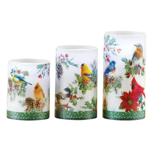 Collections Etc LED Lighted Realistic Winter Birds 3-Piece Candle Set {2}