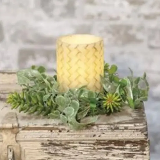 Succulent Garden Ring 3.5" {2}