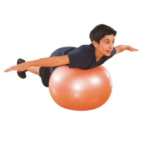 Exercise and Therapy Ball {2}