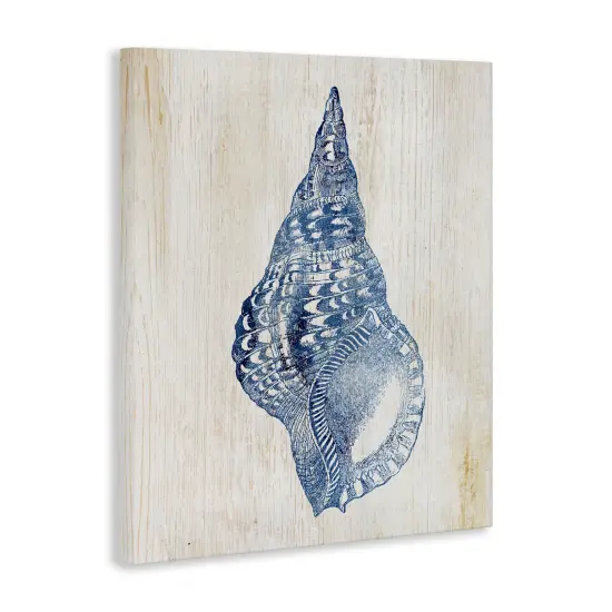 Stupell Industries Tranquil Blue Shell Canvas Design by Susan Arnot {3}